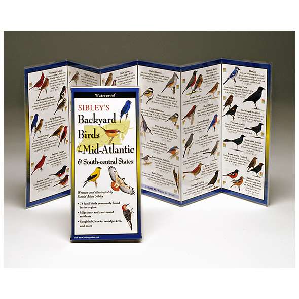Sibley's Backyard Birds of Mid Atlantic & South-Central States (Folding Guides)