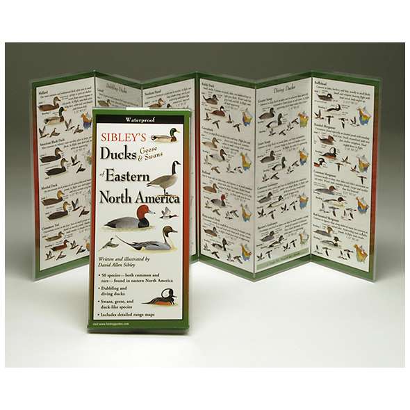 Sibley's Ducks, Geese & Swans of Eastern North America (Folding Guides)