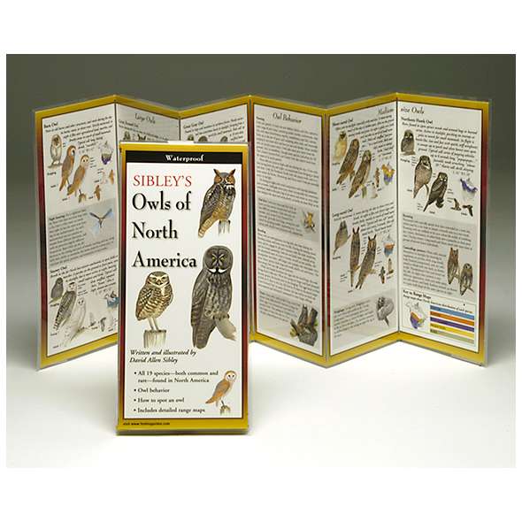 Sibley's Owls of North America (Folding Guides)