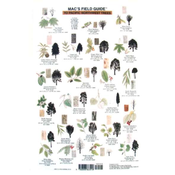 Northwest Trees  (Laminated 2-Sided Card)