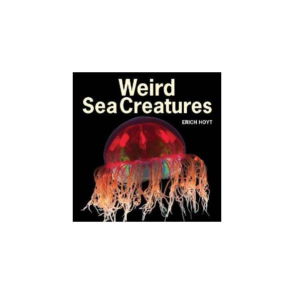 Weird Sea Creatures