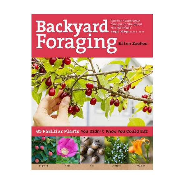 Backyard Foraging: 65 Familiar Plants You Didn't Know You Could Eat