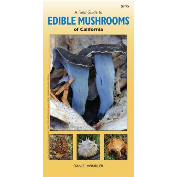 A Field Guide to Edible Mushrooms of California (Folding Pocket Guide)