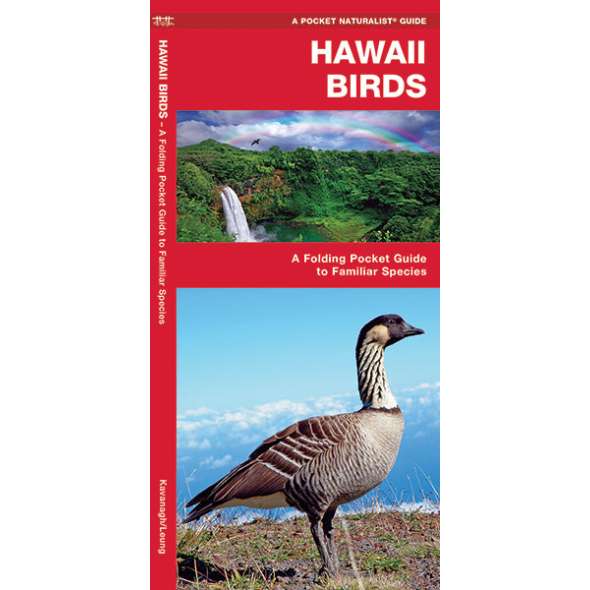 Hawaii Birds (Folding Pocket Guide)