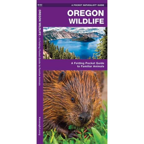 Oregon Wildlife  (Folding Pocket Guide)