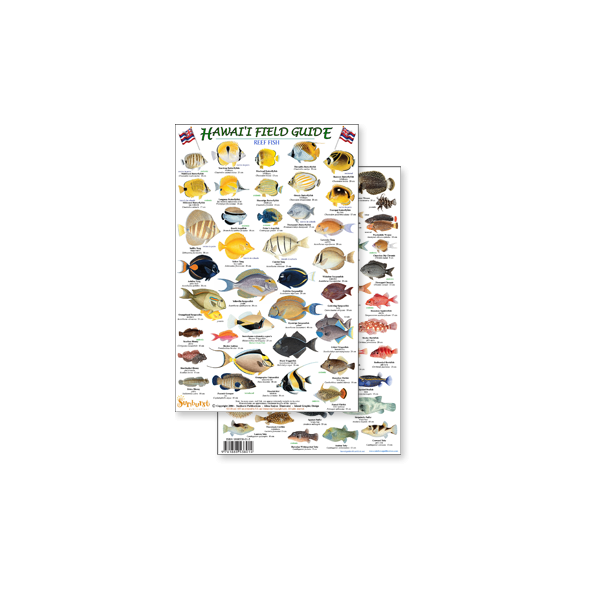 Hawaii Reef Fish