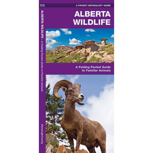 Alberta Wildlife (Folding Pocket Guide)