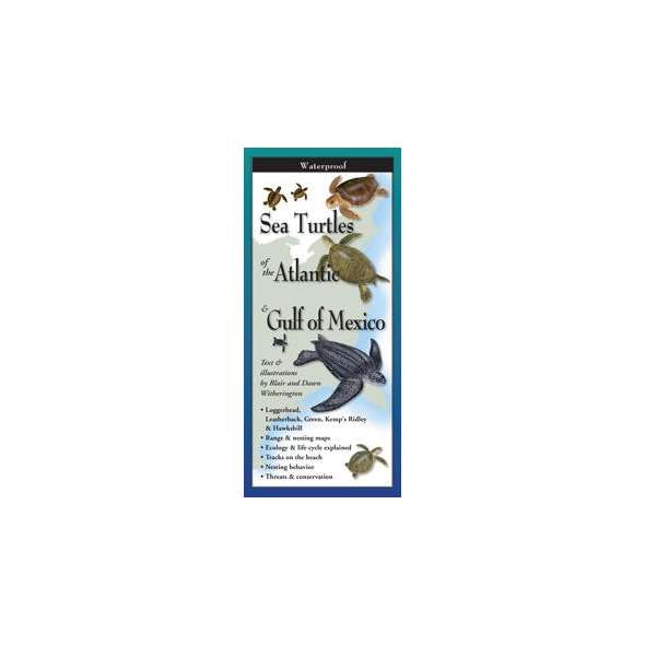 Sea Turtles of the Atlantic & Gulf of Mexico