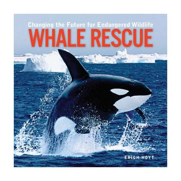 Whale Rescue: Changing the Future for Endangered Wildlife