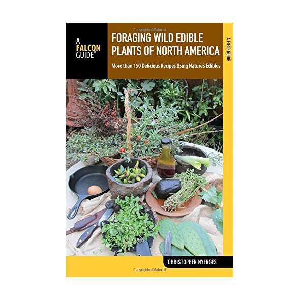 Foraging Wild Edible Plants of North America: More than 150 Delicious Recipes Using Nature's Edibles