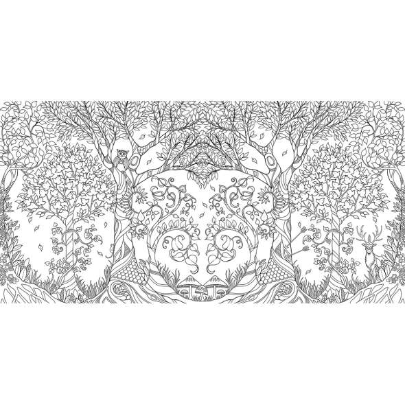 Enchanted Forest: An Inky Quest & Coloring Book