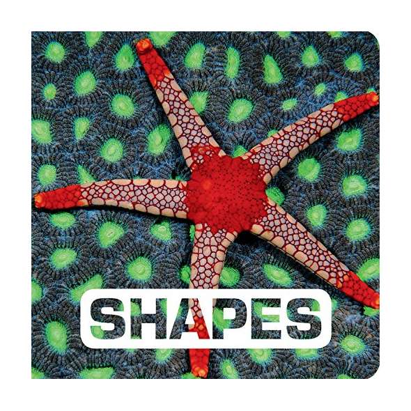 Shapes