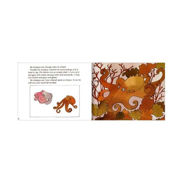 An Octopus Is Amazing (Let's-Read-and-Find-Out Science, Stage 2)