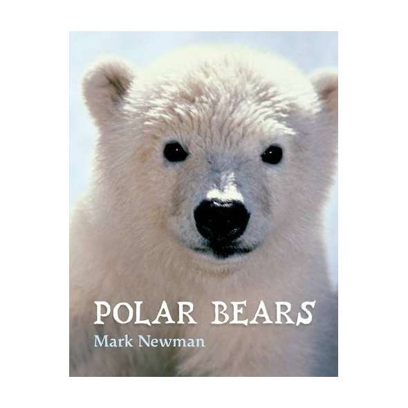 Polar Bears