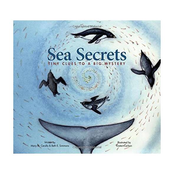 Sea Secrets: Tiny Clues to a Big Mystery