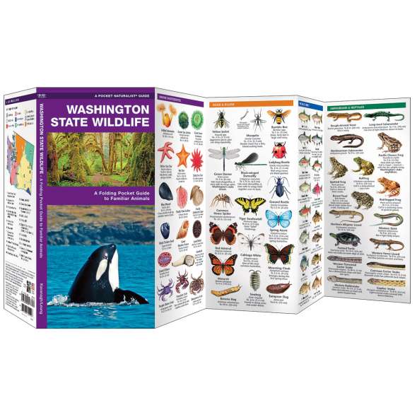 Washington State Wildlife  (Folding Pocket Guide)