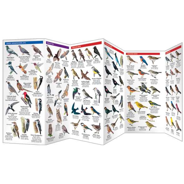 San Francisco Birds (Folding Pocket Guide)