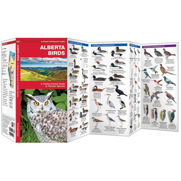 Alberta Birds (Folding Pocket Guide)