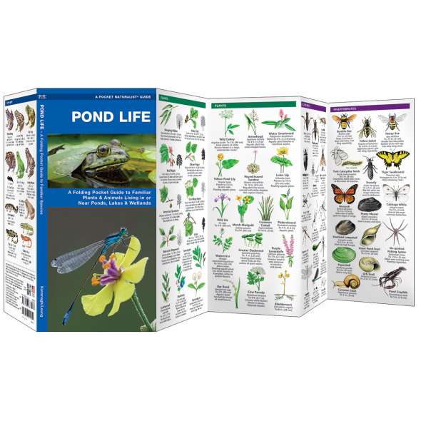 Pond Life