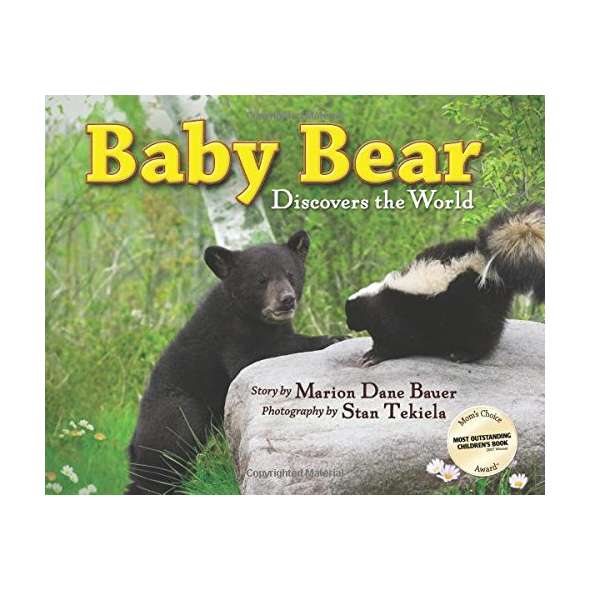Baby Bear Discovers the World