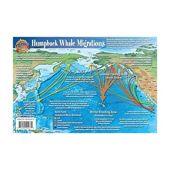 Pacific Humpback Whale Migrations
