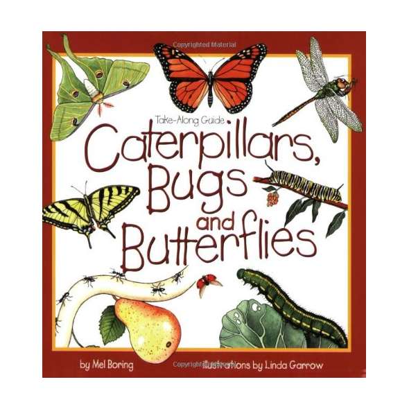 Take-Along Guides: Caterpillars, Bugs and Butterflies