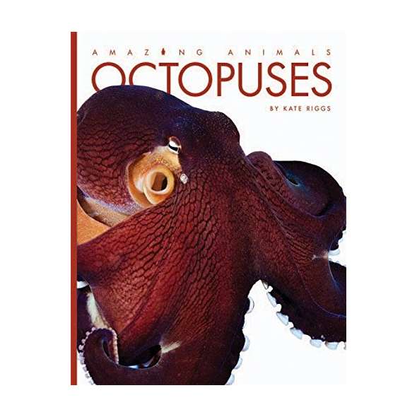 Octopuses