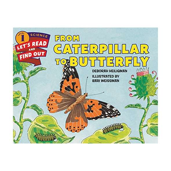 From Caterpillar to Butterfly