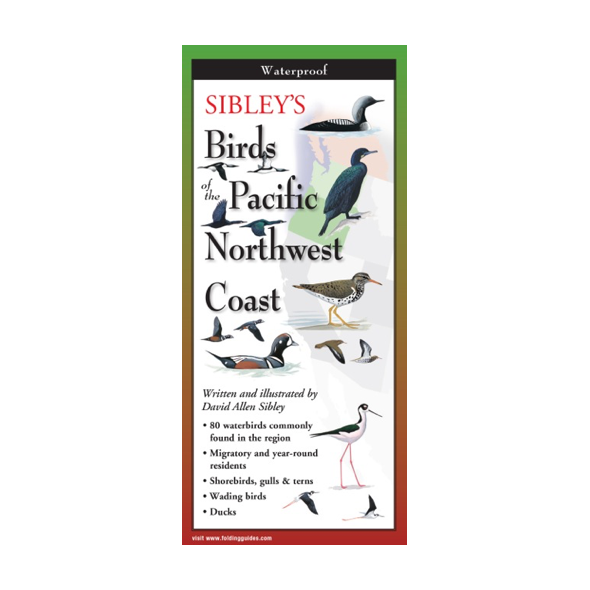 Sibley's Birds of Pacific NW Coast