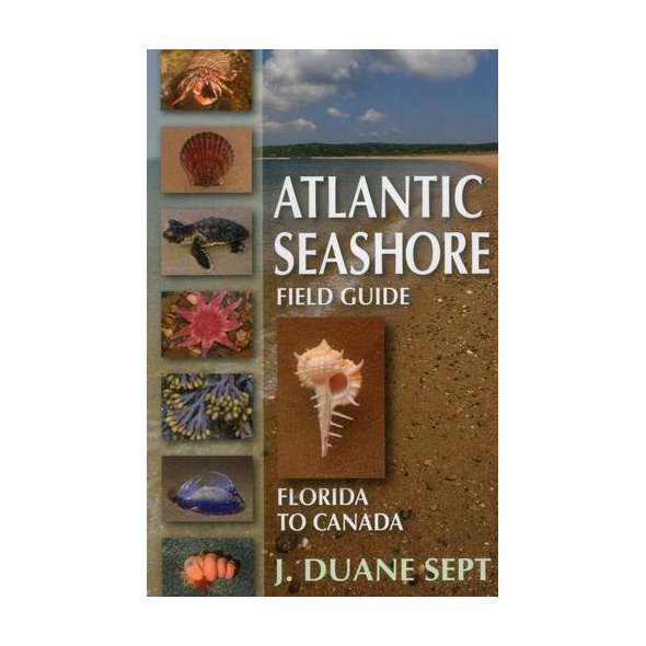 Atlantic Seashore Field Guide: Florida to Canada