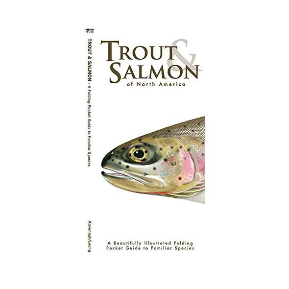 Trout & Salmon of North America
