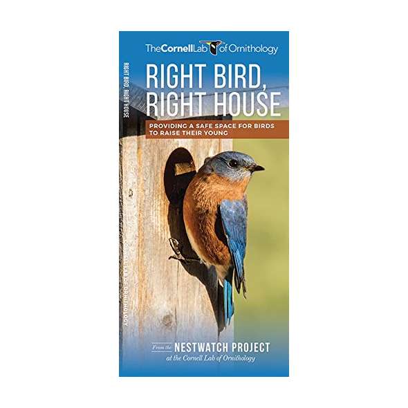 Right Bird, Right House: Providing a Safe Space for Birds to Raise Their Young