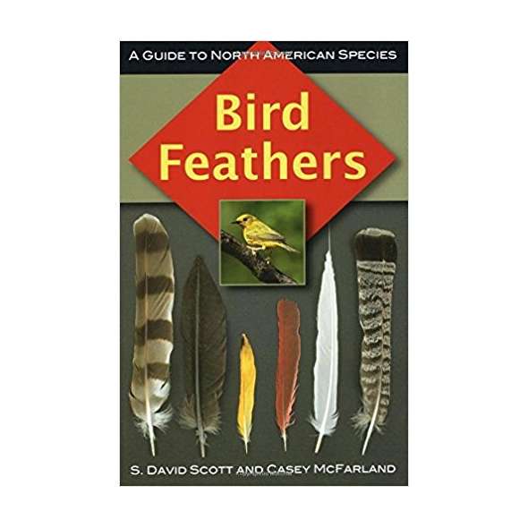 Bird Feathers: A Guide to North American Species