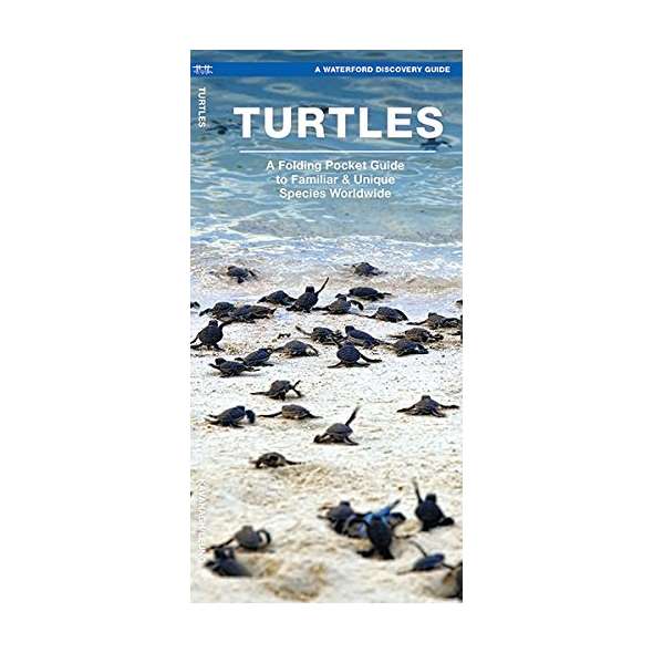 Turtles: A Folding Pocket Guide to the Status of Familiar Species