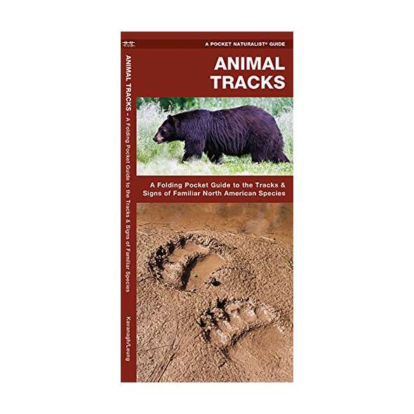 Animal Tracks: A Folding Pocket Guide to the Tracks & Signs of Familiar North American Species