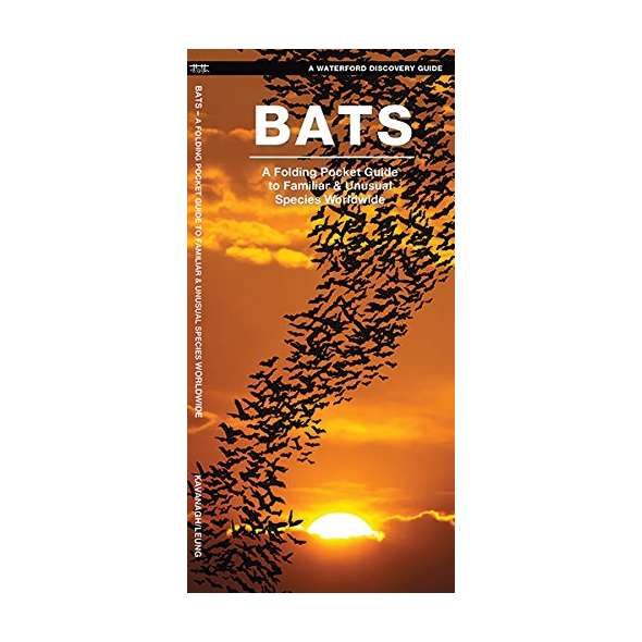 Bats: A Folding Pocket Guide to the Status of Familiar Species