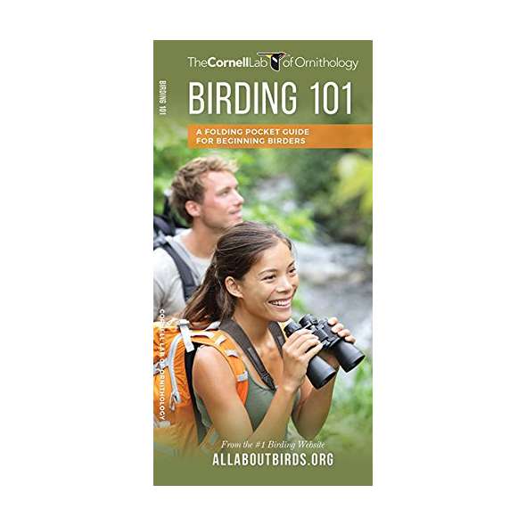 Birding 101: A Folding Pocket Guide for Beginning Birders