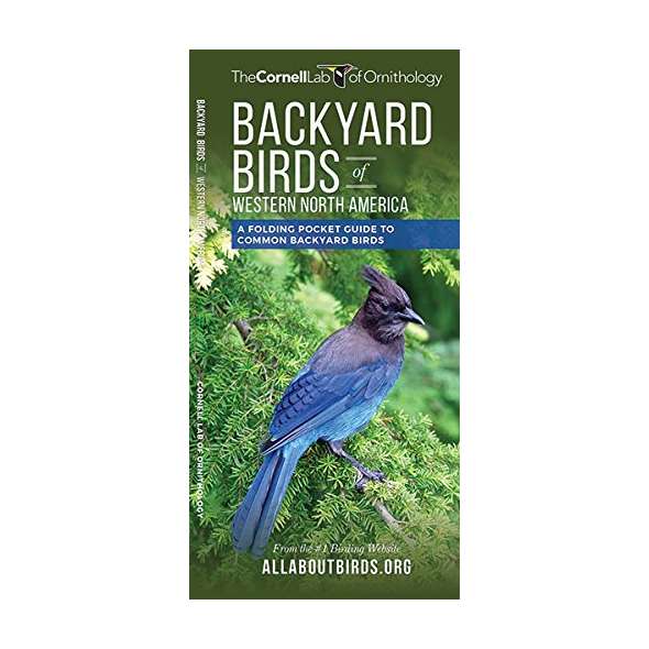 Backyard Birds of Western North America: A Folding Pocket Guide to Common Backyard Birds
