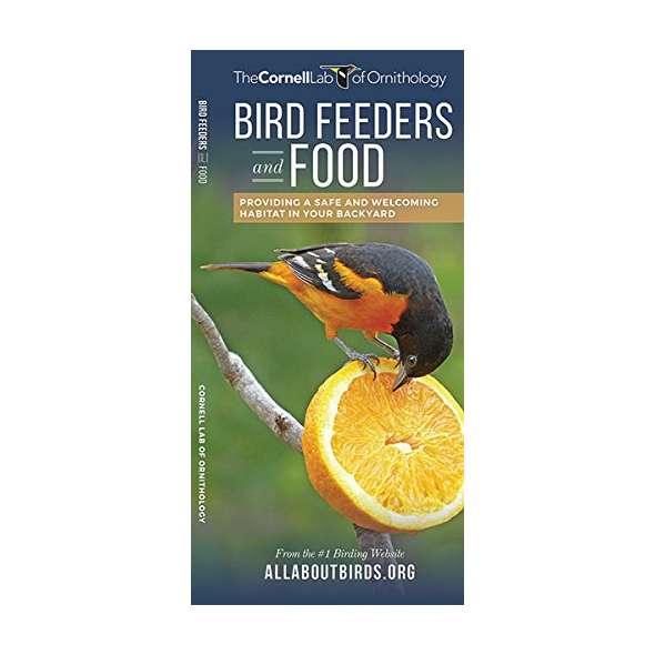 Bird Feeders and Food: Providing a Safe and Welcoming Habitat in Your Backyard