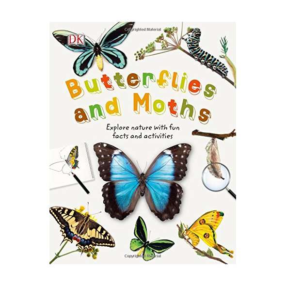 Butterflies and Moths