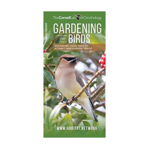 Gardening for Birds: Enhancing Your Yard to Attract and Support Birds