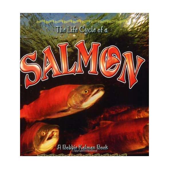 The Life Cycle of a: Salmon