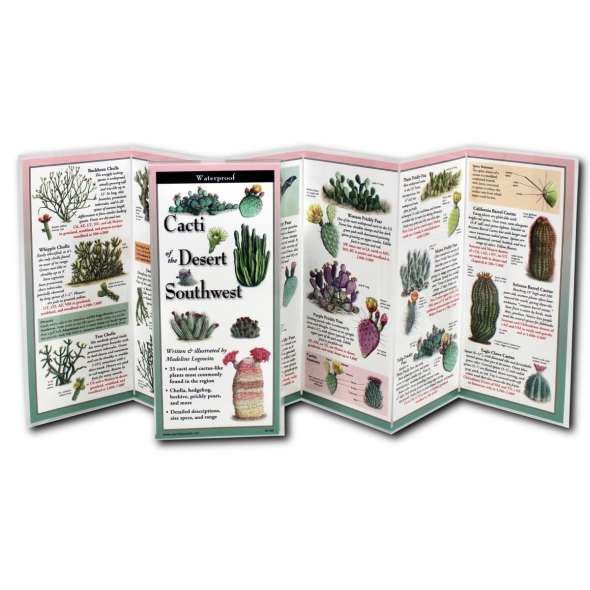 Cacti of the Desert Southwest - Book - Paracay