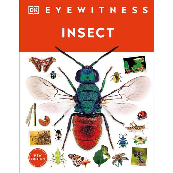 Eyewitness Insect - Book - Paracay