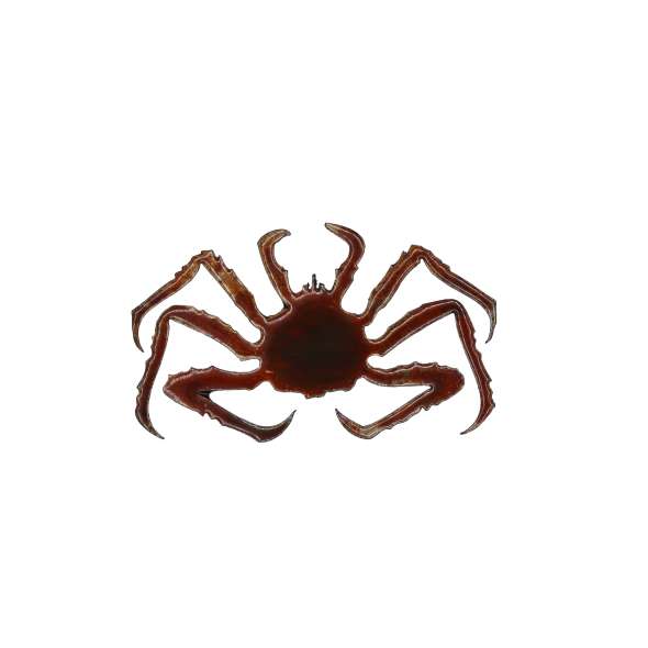 King Crab v2 Small - Magnet - Paracay