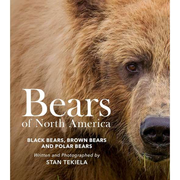 Bears of North America:  Black Bears, Brown Bears, and Polar Bears - Book - Paracay