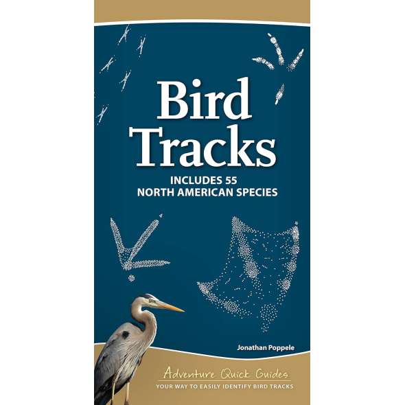 Bird Tracks - Adventure Quick Guides - Book - Paracay