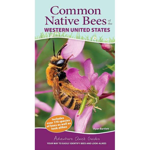 Common Native Bees of the Western United States - Book - Paracay