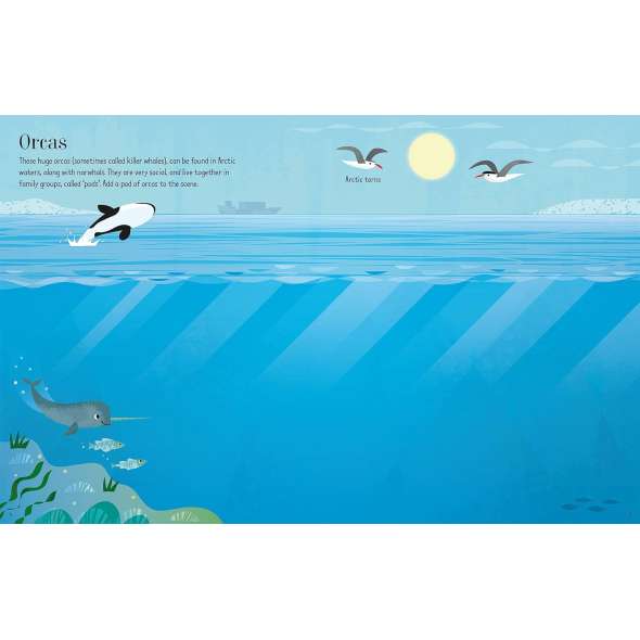 First Sticker Book Narwhals - Book - Paracay