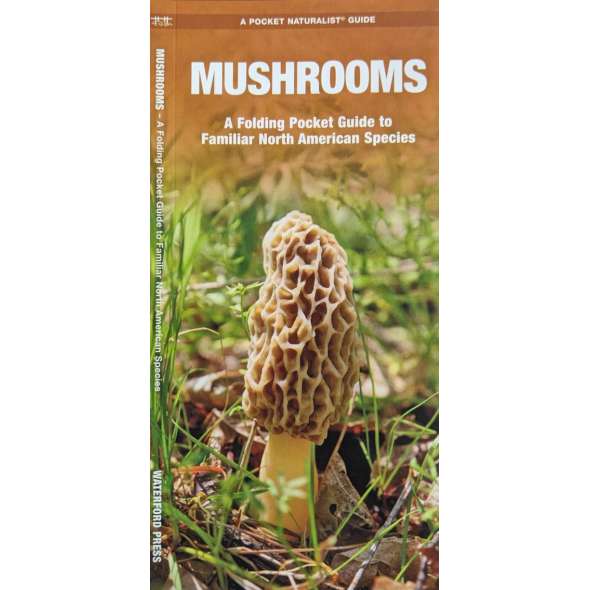 Mushrooms - A Folding Pocket Guide to Familiar North American Species - Laminated Pocket Guide - Paradise Cay Publications